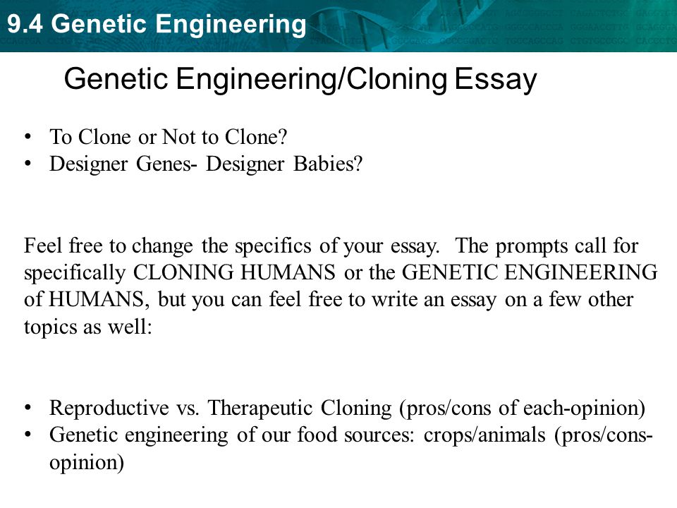 Genetic Engineering Essay Examples